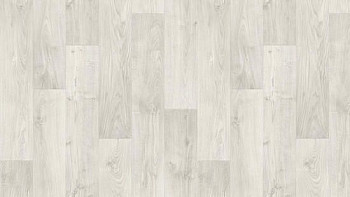 Линолеум Tarkett Discovery RIGARD 1 фото 1 | FLOORDEALER